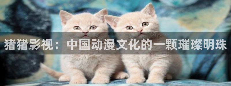 99精品视频蜜桃