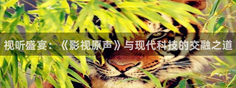 水蜜桃2在线观看