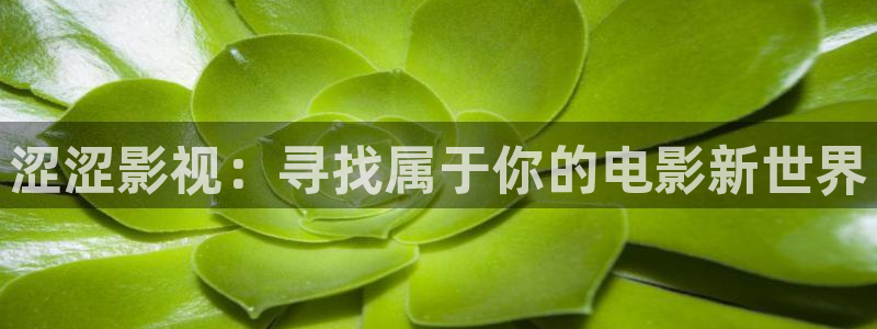 在线影院蜜桃