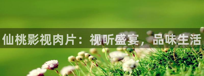 蜜桃在线99：仙桃影视肉片：视听盛宴，品味生活