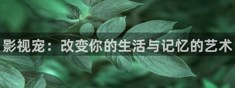 蜜桃九九视频：影视宠：改变你的生活与记忆的艺术