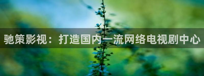 水蜜桃山东